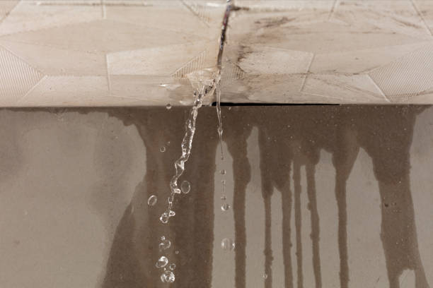 Professional Structural Drying technician working in Utica, SD